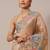 Chiku Thread Embroidery Cutwork Borders Jimmy Choo Tissue Saree