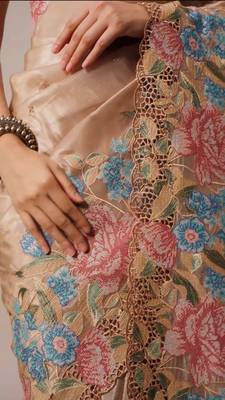 Chiku Thread Embroidery Cutwork Borders Jimmy Choo Tissue Saree 2
