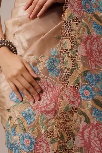 Chiku Thread Embroidery Cutwork Borders Jimmy Choo Tissue Saree