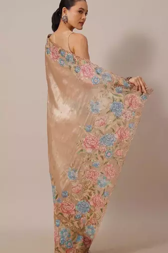 Chiku Thread Embroidery Cutwork Borders Jimmy Choo Tissue Saree