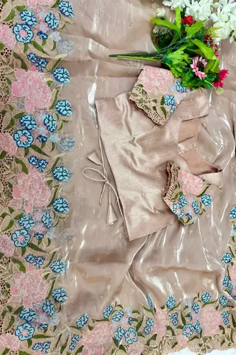 Chiku Thread Embroidery Cutwork Borders Jimmy Choo Tissue Saree