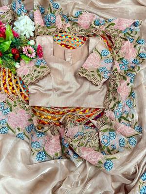 Chiku Thread Embroidery Cutwork Borders Jimmy Choo Tissue Saree 5