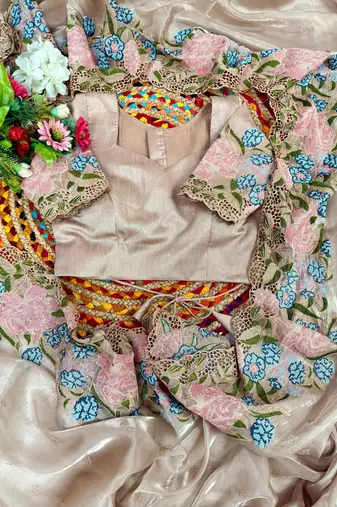 Chiku Thread Embroidery Cutwork Borders Jimmy Choo Tissue Saree