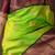 Dual tone green pure silk saree
