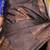 Grey silk saree