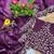 Plum Sequins Embroidered Jimmy Choo Saree