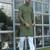 Cotton blend woven self desing olive green kurta and pyjamas