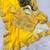 Yellow dual Shaded Georgette Saree