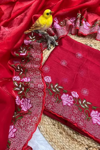 Red Thread Embroidery Work Jimmy Choo Saree