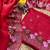 Red Thread Embroidery Work Jimmy Choo Saree