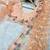 Peach Chain Stitch Embroidered Butterfly Net Saree