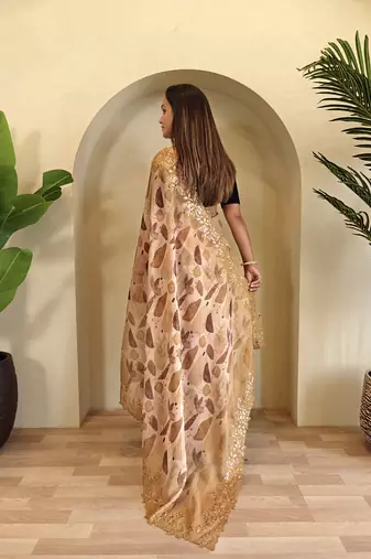 Light Brown Hand Crafted Organza Saree