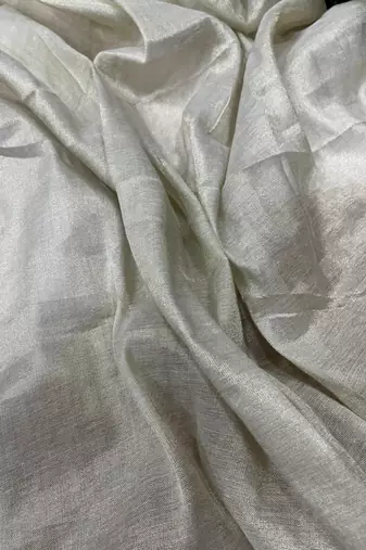 Beige Two Tone Shine Tissue Saree 