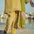 Kaira tissue gold & olive suit set