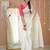 white stripe cotton saree designer print blouse