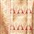 crimson red katan banarasi silk blend saree with gold zari leaf motif