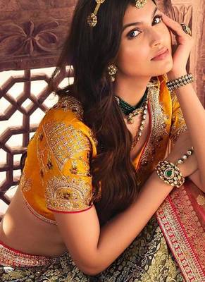 multicolor kanjivaram lehenga with embroidered work 4