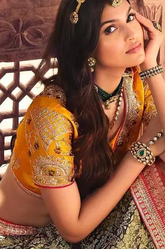 multicolor kanjivaram lehenga with embroidered work