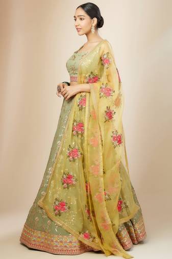 Pista Georgette Ethnic Lehenga choli