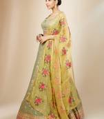 Pista Georgette Ethnic Lehenga choli