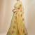 Pista Georgette Ethnic Lehenga choli