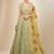 Pista Georgette Ethnic Lehenga choli