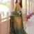 Green color beautiful chinon fabric smart printed and beads work ceremonial sharara dress