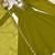  Olive Green Georgette Anarkali with Zari Neckline & Tassel Dupatta