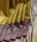 Golden tissue party wear silk saree