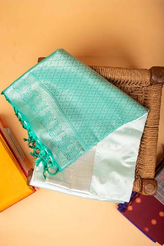 Pastel green and green semi soft silk saree
