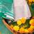 Grey brocade semi soft silk saree