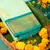 Green designer sem soft silk saree