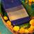 Midnight blue pure touch silk saree