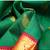 Green and red kanchi silk saree