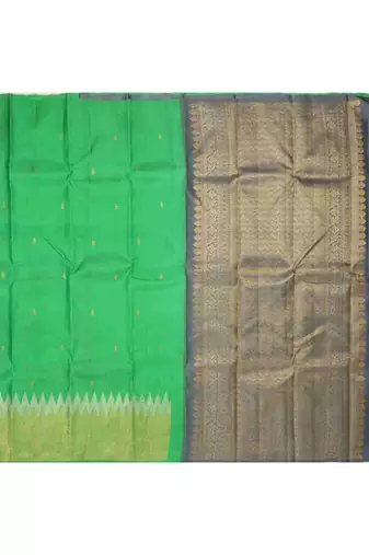 Light green saree with golden border