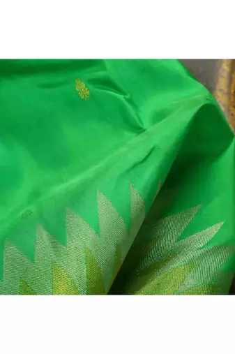 Light green saree with golden border