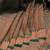 Green and pink brocade silk saree