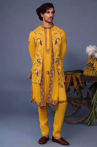 Fizan macaw haldi kurta 1 jacket set