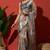 Grey tissue digital printed fancy saree