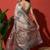 Grey tissue digital printed fancy saree