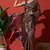 Brown tissue digital printed fancy saree