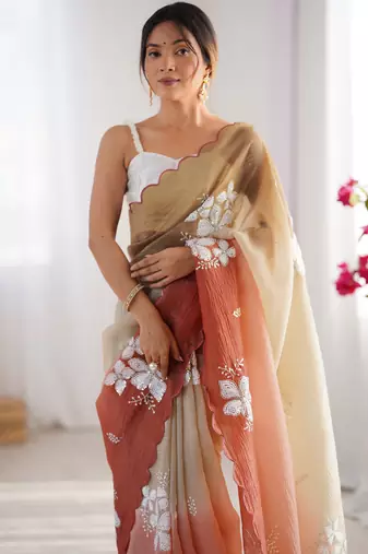 Multi sequins work multi padding saree