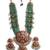 Green beads kemp bridal jewelry set