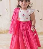 Pink & white embroidered chanderi silk  lehenga