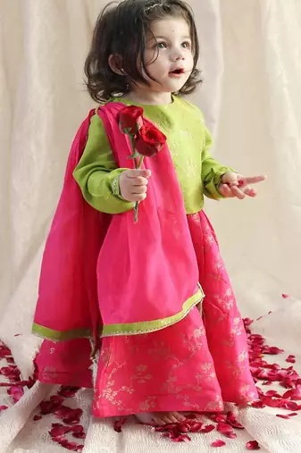 Pink & green embroidered viscose  lehenga