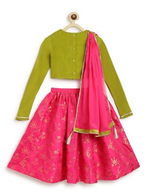 Pink & green embroidered viscose  lehenga 3