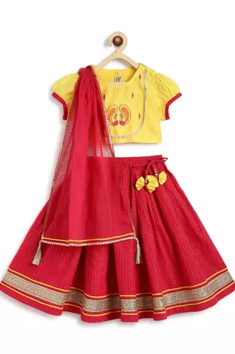 Pink embroidered chanderi silk  lehenga