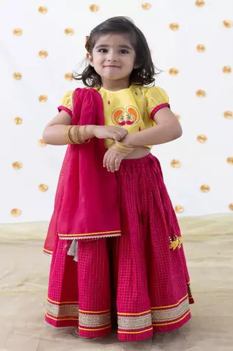 Pink embroidered chanderi silk  lehenga