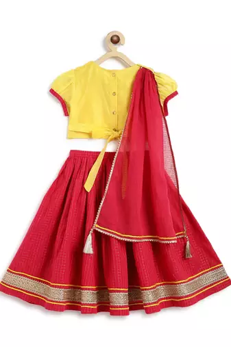 Pink embroidered chanderi silk  lehenga