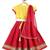 Pink embroidered chanderi silk  lehenga